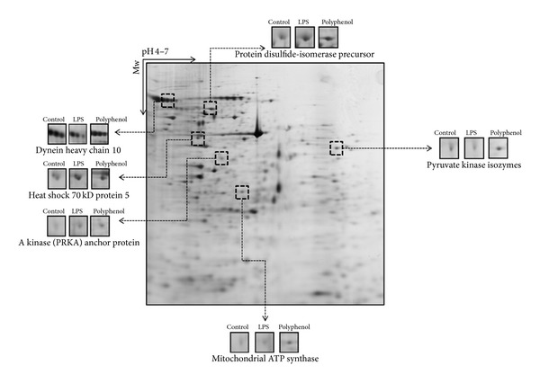 Figure 5