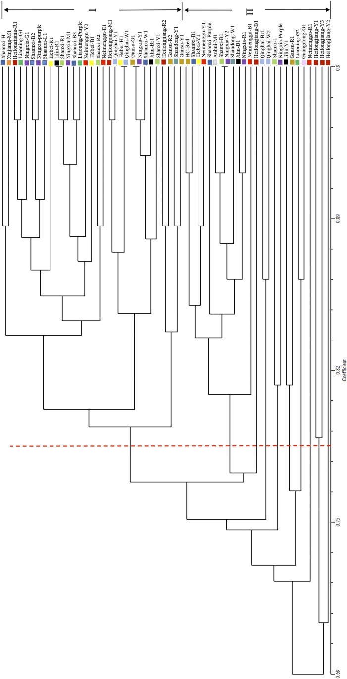 Fig. 8.