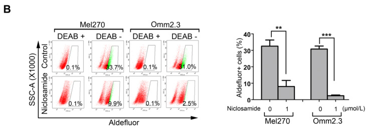 Figure 6B