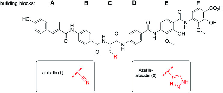 Fig. 1