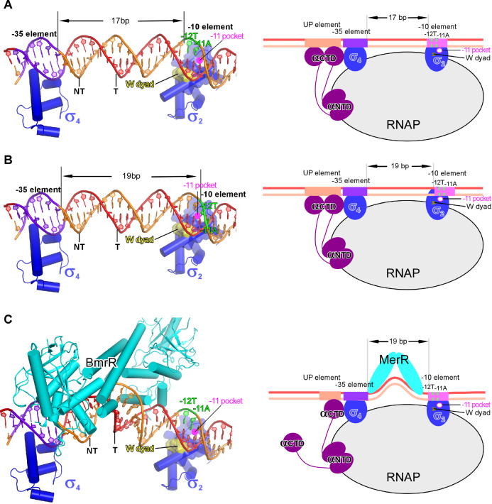 
Figure6
