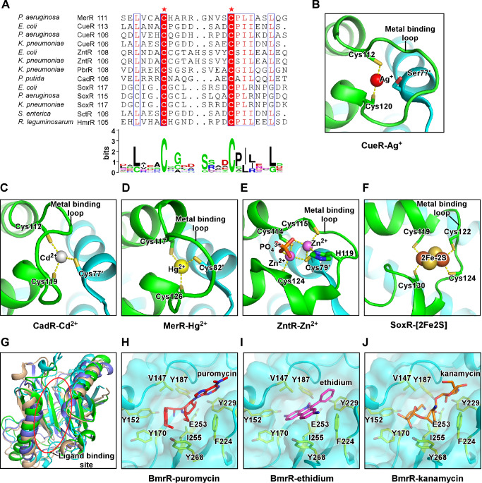 
Figure4
