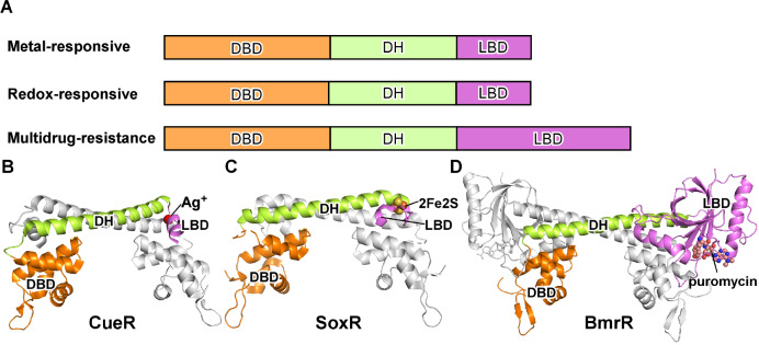 
Figure2
