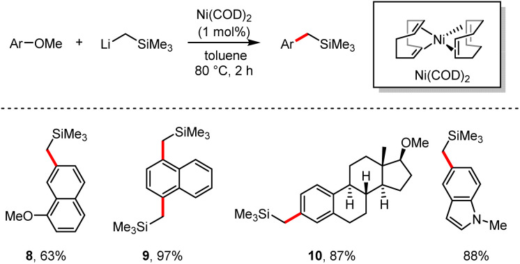 Scheme 9