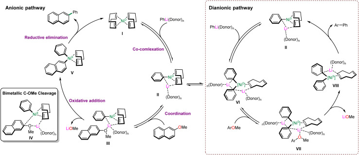 Scheme 14