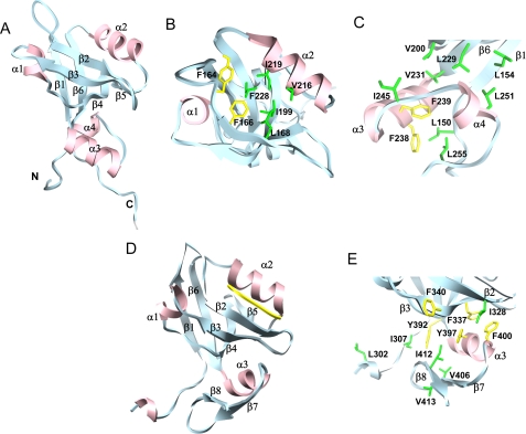 FIGURE 3.