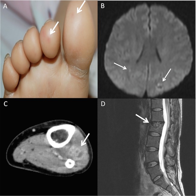 Figure 2