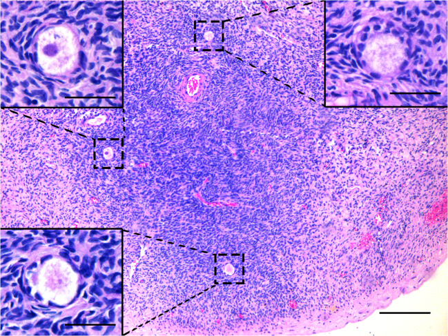 Fig. 7