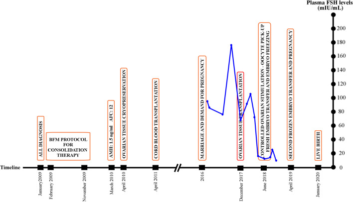 Fig. 11