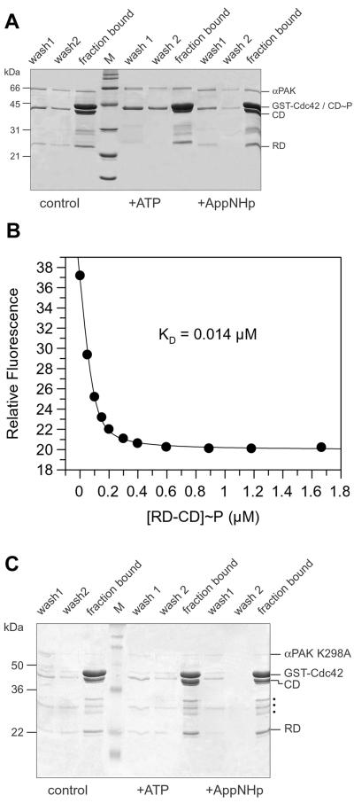 FIG. 8