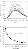 FIG. 3