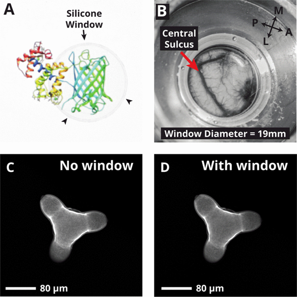 Fig. 2.