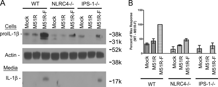 FIG 4