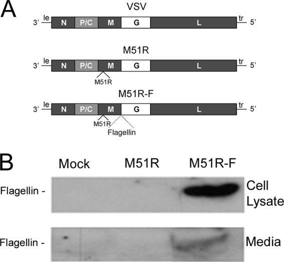 FIG 1