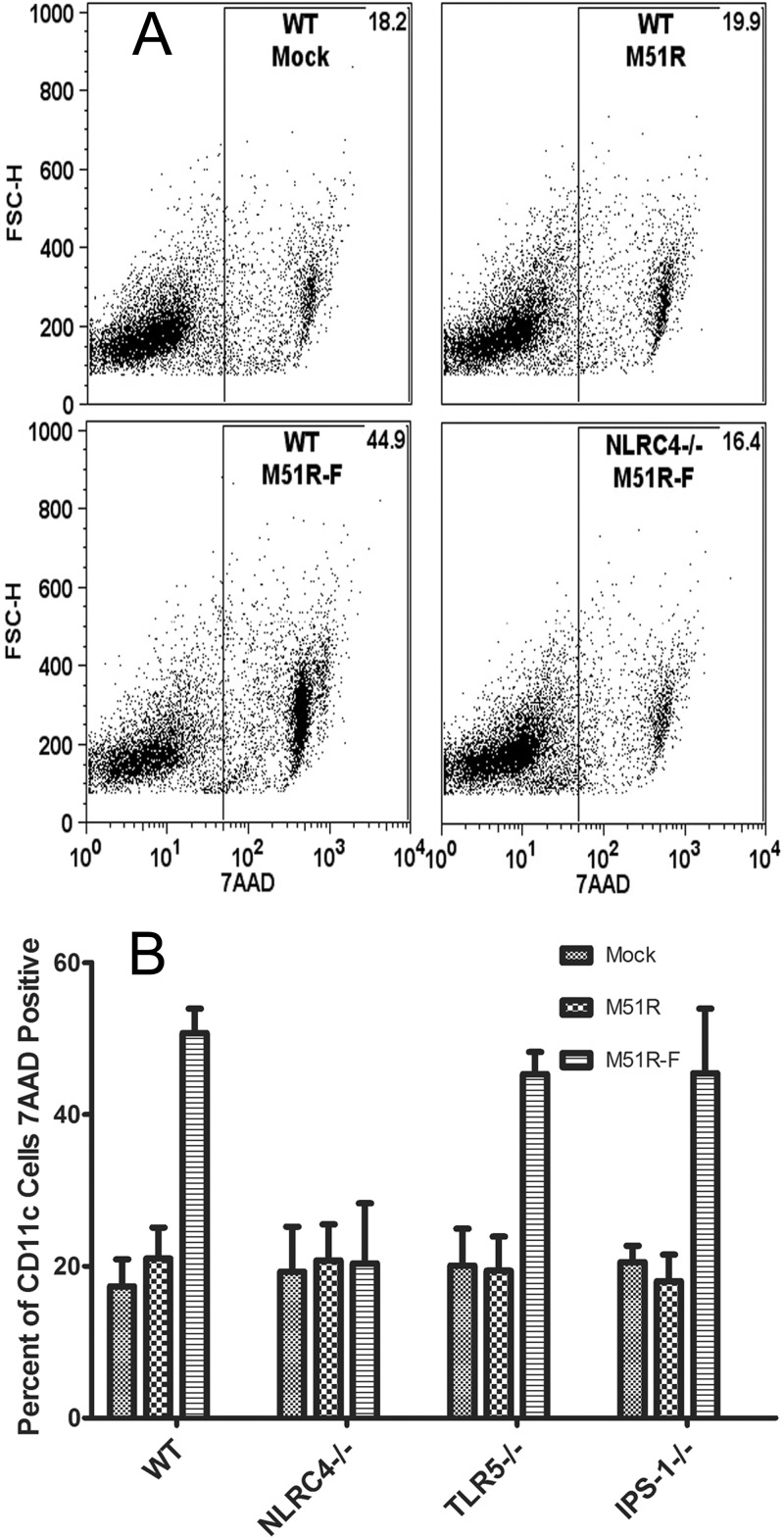 FIG 6