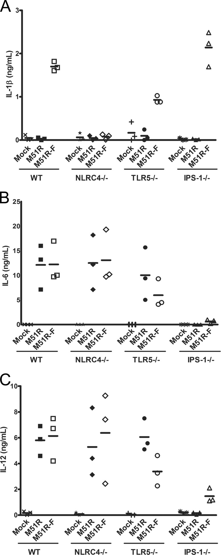 FIG 3