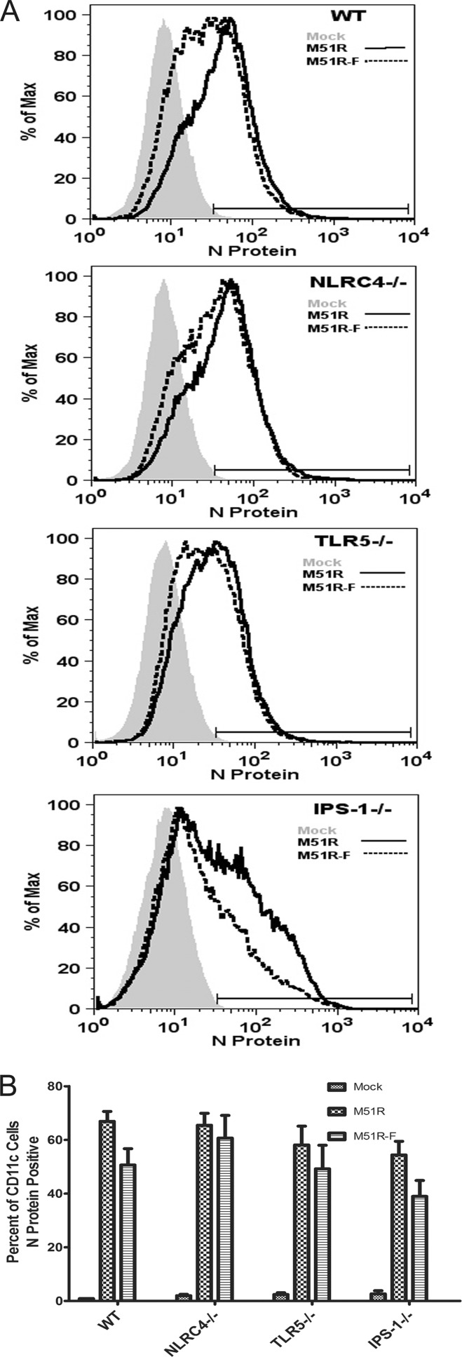 FIG 8