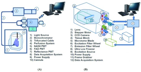 FIGURE 1.