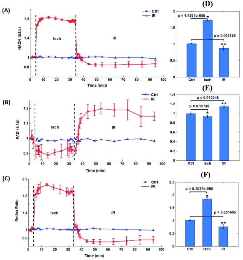 FIGURE 4.