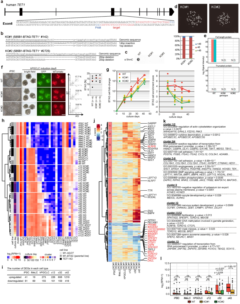 Extended Data Fig. 10