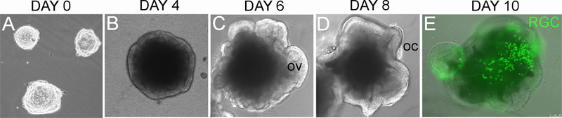 Figure 2.