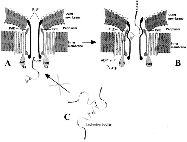 FIG. 6