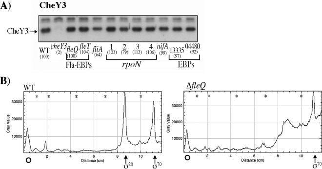 FIG 6