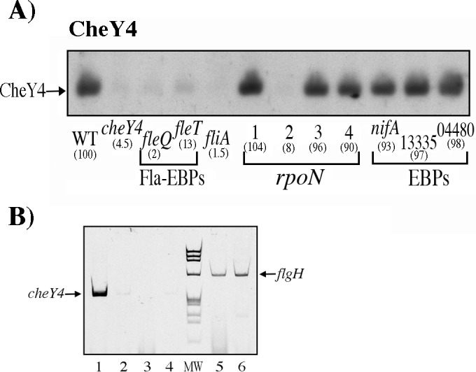 FIG 5