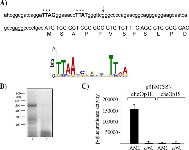 FIG 3