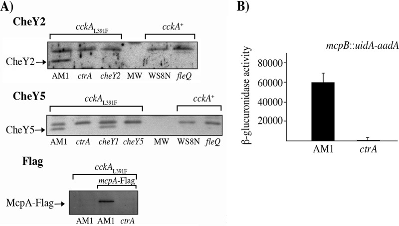 FIG 2