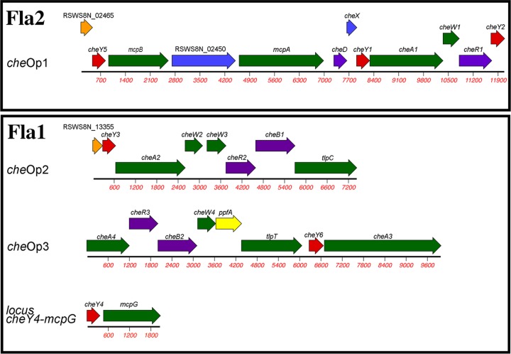 FIG 1