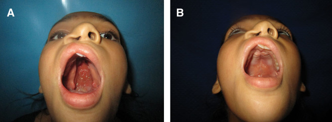 Fig. 8.