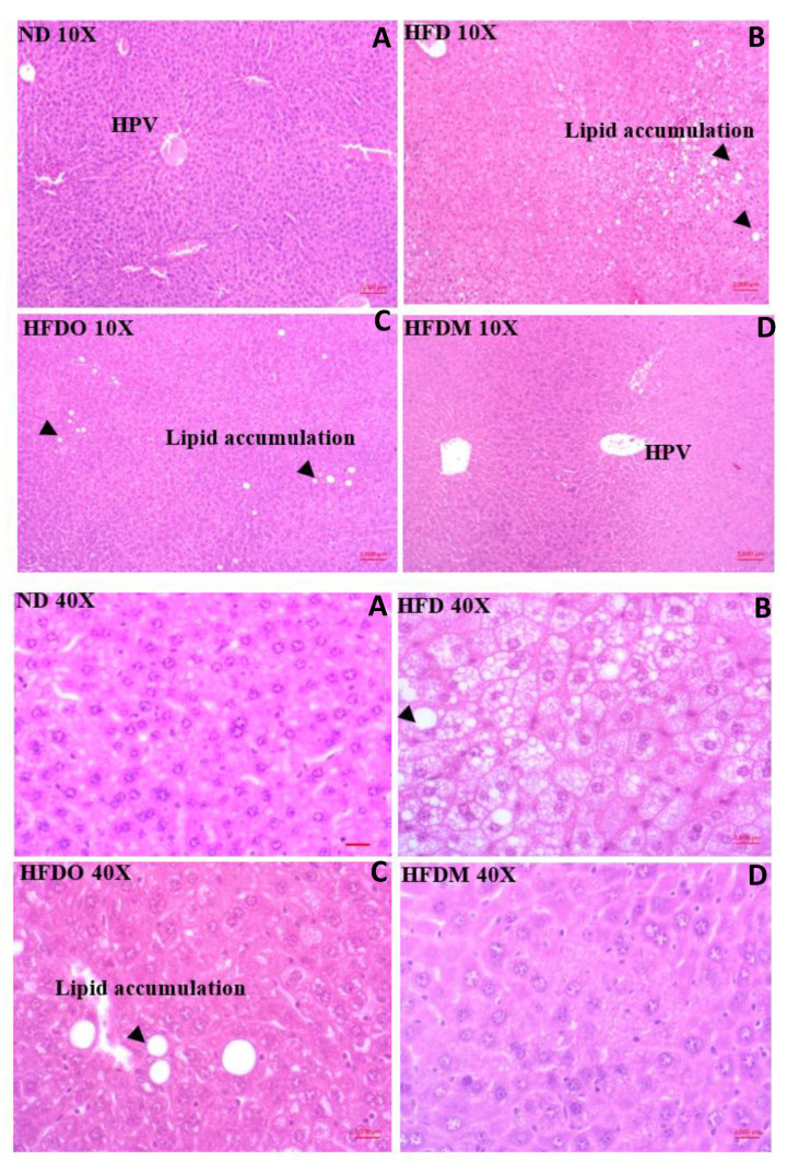 Figure 10