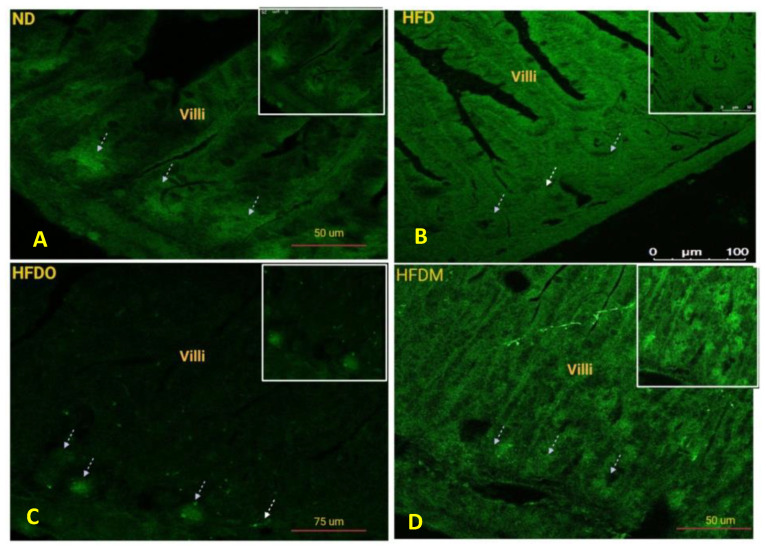 Figure 17