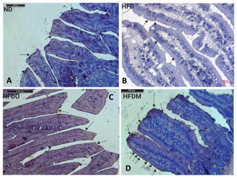 Figure 16