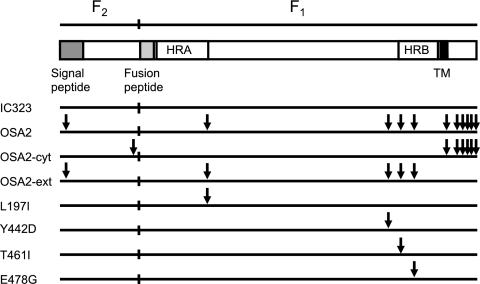 FIG. 5.