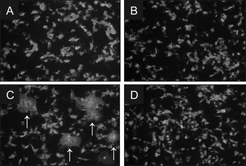 FIG. 6.