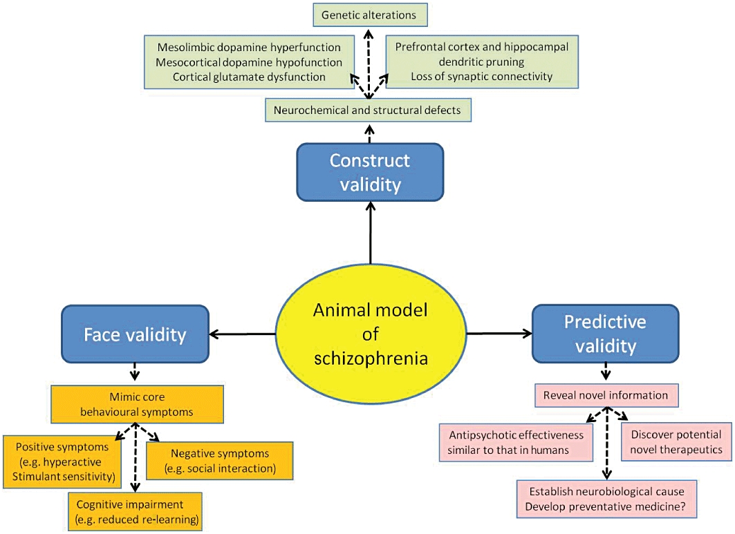 Animal models of schizophrenia - PMC