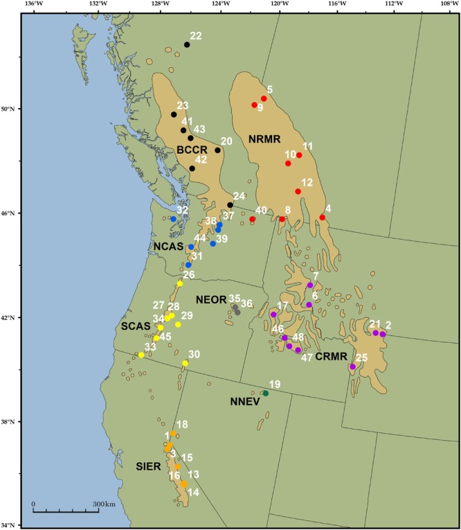 FIGURE 1