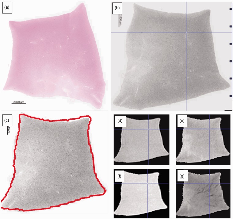 Figure 2.