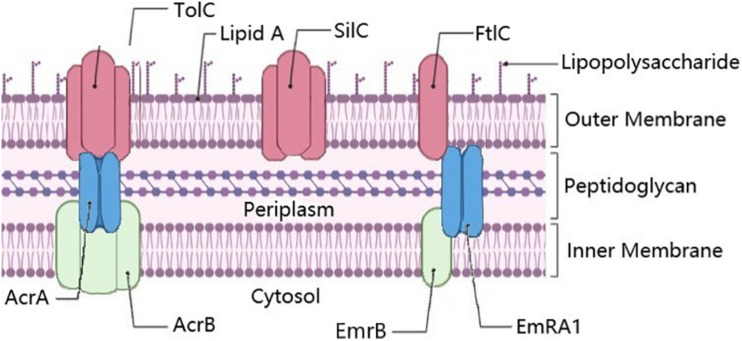 FIGURE 1