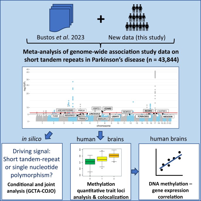 Graphical Abstract