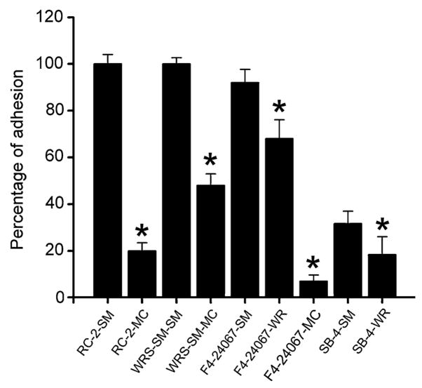 Fig. 2