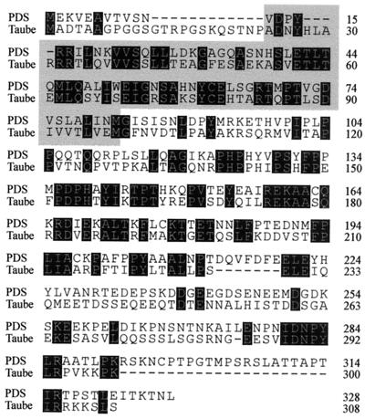 FIG. 7