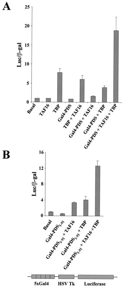 FIG. 5