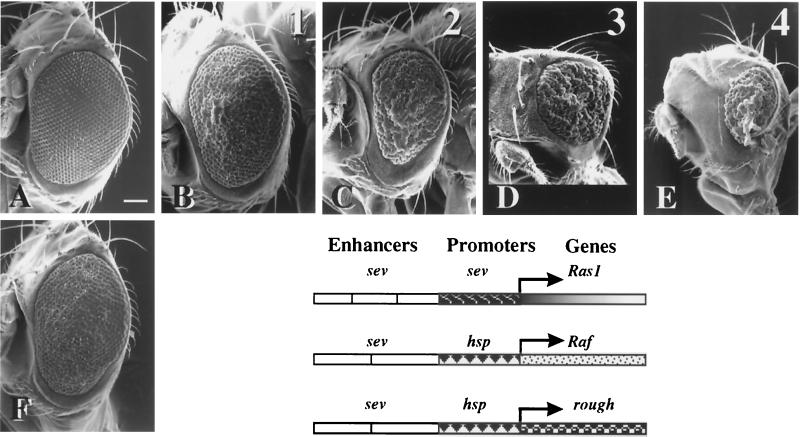 FIG. 6