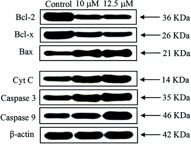 Fig. 15