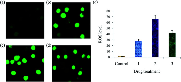 Fig. 14