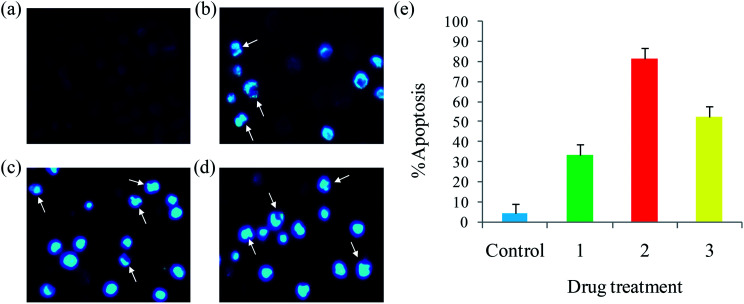 Fig. 10