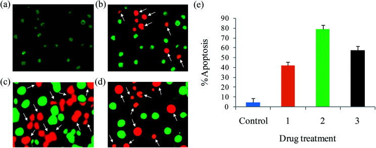 Fig. 9